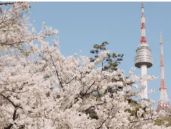 Korea N Seoul Tower Ticket