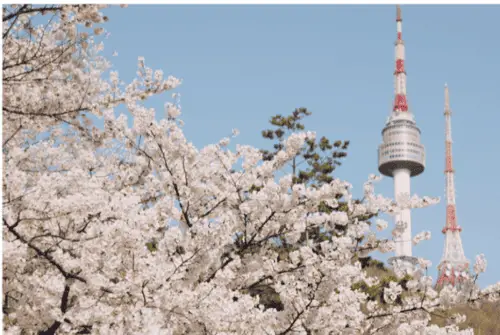 Билет в Korea N Seoul Tower