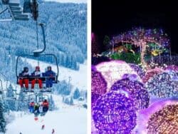 Elysian Gangchon Ski Resort Garden of Morning Calm Light Festival 1 Day Tour