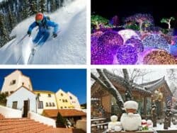 Elysian Gangchon Ski Resort + Nami Island + Petite France + Garden of Morning Calm Lighting Festival 1 Day Tour