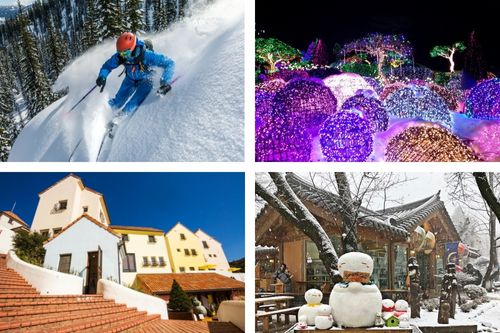 Elysian Gangchon Ski Resort + Nami Island + Petite France + Garden of Morning Calm Lighting Festival Tour di 1 giorno