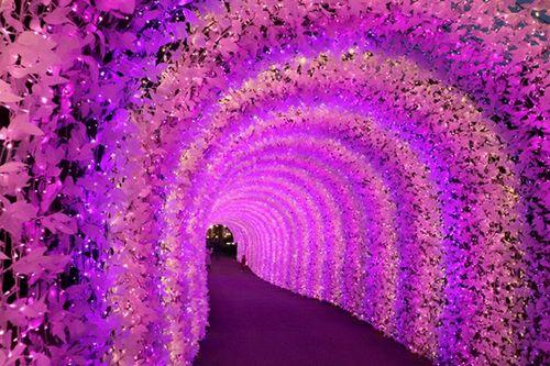 The Tunnel of Happiness at the Garden of Morning Calm Lighting Festival