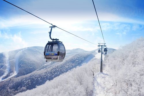 High1 Ski Resort 2D1N Tour sci/snowboard