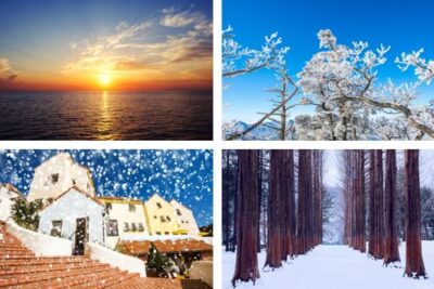 New Year Sunrise Tour Naksan Beach Seoraksan Petite France Nami Island Garden of Morning Calm