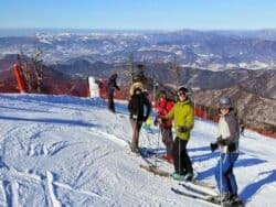 ทัวร์เล่นหิมะหรือเล่นสกีแบบไปเช้าเย็นกลับที่ Yongpyong หรือ Phoenix Park Resort จากโซล