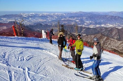Gita di un giorno sulla neve o sugli sci a Yongpyong o al Phoenix Park Resort da Seoul