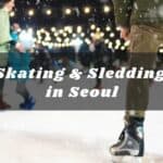 14 Best Skating and Sledding Hills in Seoul (2025-2026 Updated)