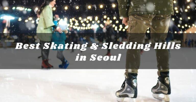 14 Best Skating and Sledding Hills in Seoul (2025-2026 Updated)