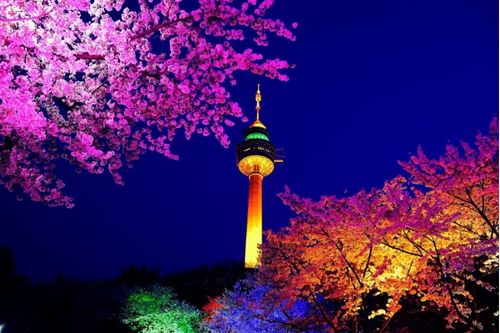E-World Cherry Blossom Festival at night
