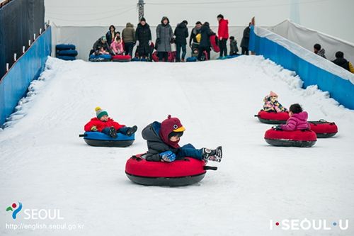 Snow sledding in Seoul
