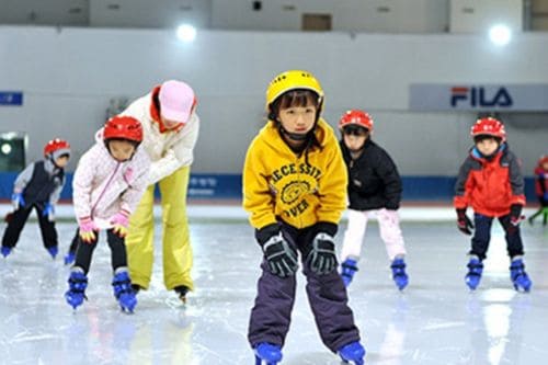 Taereung International Skating Rink