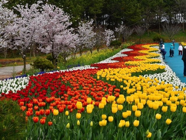 Passerella del festival dei tulipani di Taean