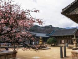 The UNESCO world heritage site of Tongdosa Temple