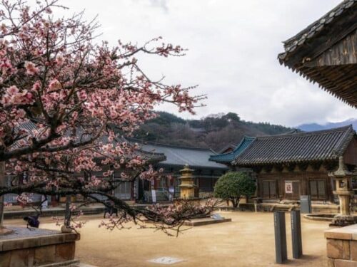 世界遺産通度寺