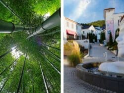 Tur Hutan Bambu Damyang dan Meta Provence dari Seoul