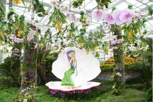 Hampyeong Butterfly Festival Photozone
