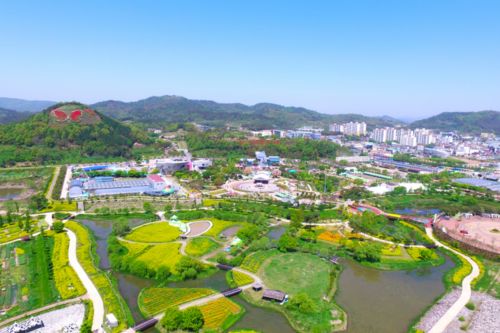 Hampyeong Butterfly Festival Venue
