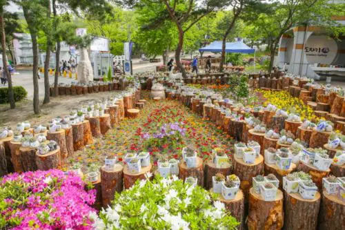 Icheon Ceramic Festival
