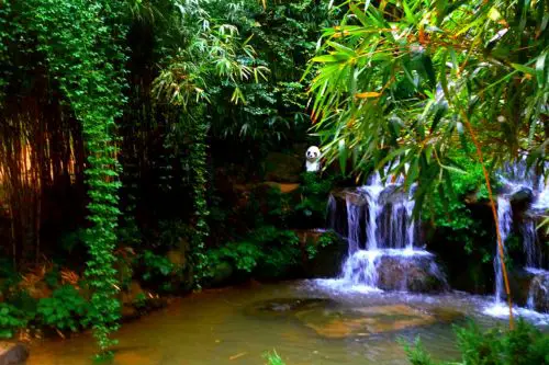 Juklim Waterfall at Juknokwon, Damyang