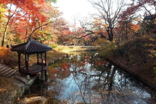 The Secret Garden of Changdeokgung Palace