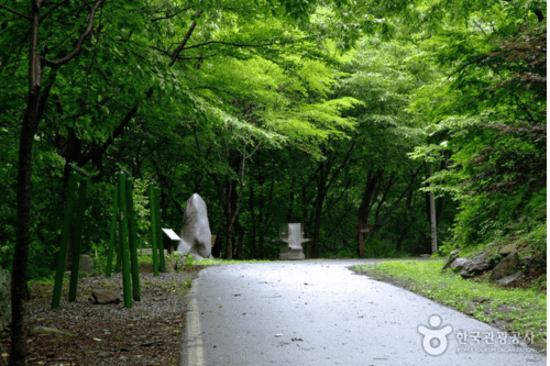 Seongjusan Recreational Forest