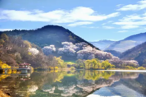 Corea del Sud-Viaggi-3