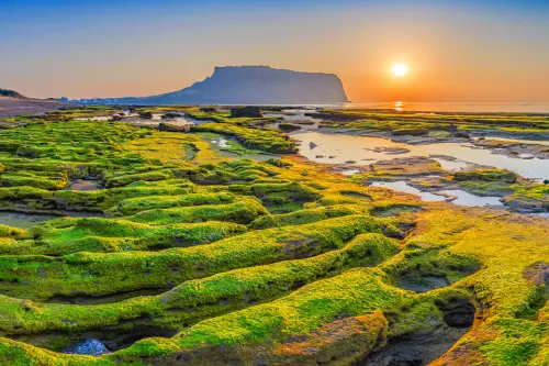 Corea del Sud-Viaggi-9