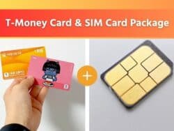 T-Money Card and SIM Card Package