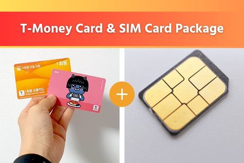 T-Money Card and SIM Card Package
