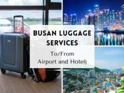 Busan Luggage Services