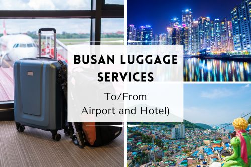 Busan Luggage Services