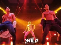Biglietto Seoul Wild Wild Dream Musical