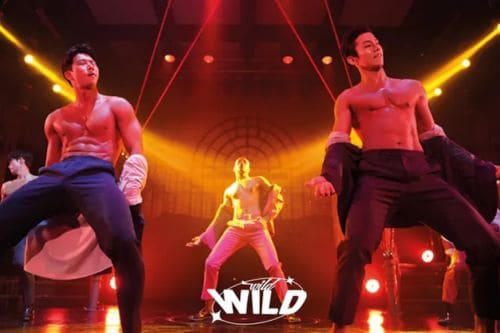 บัตร Wild Wild Dream Musical Seoul