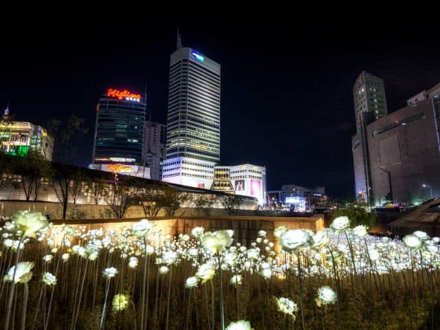 DDP LED Flowers