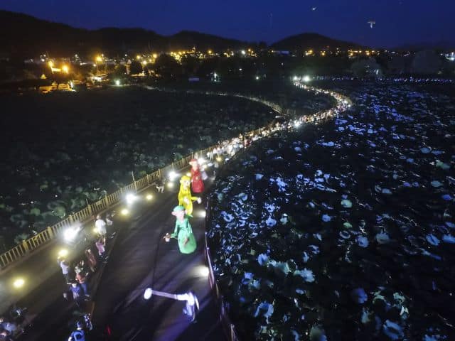 Muan Lotus Festival at Night