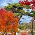 Best 10 Autumn Foliage Places to Visit