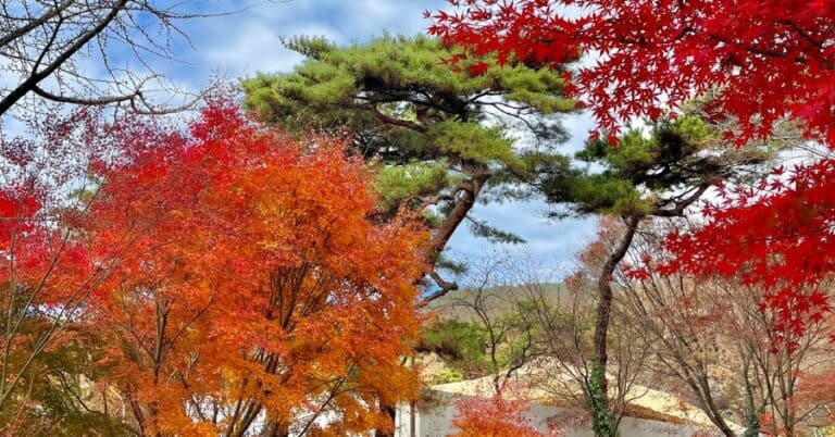 Best 10 Autumn Foliage Places to Visit