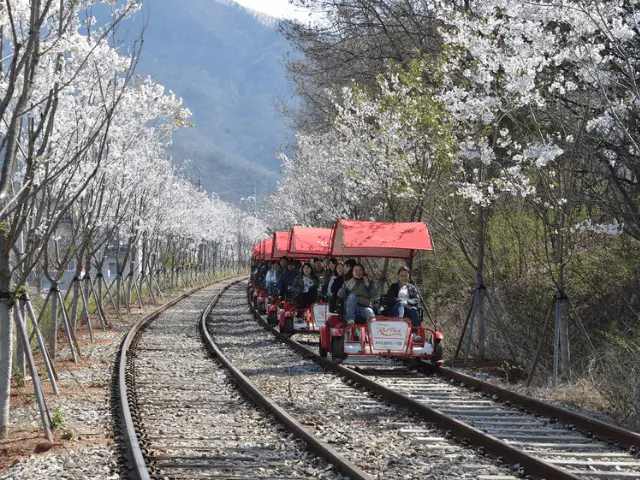 春天的江村铁路公园