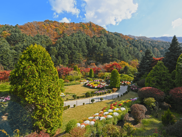 the picturesque landscape of the Garden of Morning Calm (아침고요수목원)