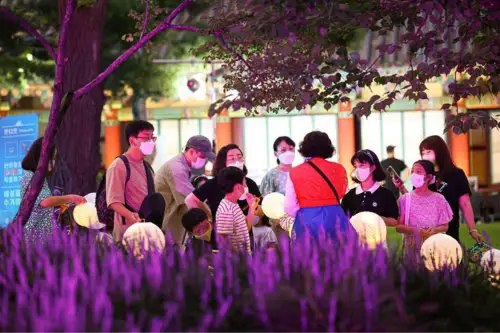 daegu-cultural-heritage-night-tour-1