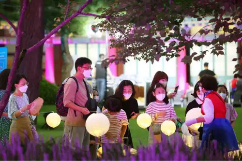 daegu-cultural-heritage-night-tour-3