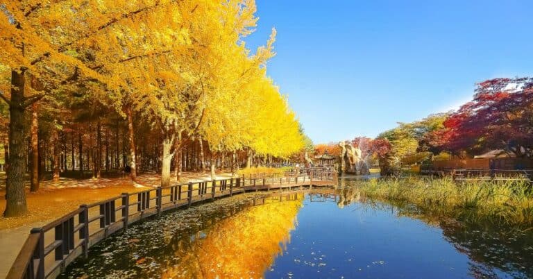 Best 15 Places to Visit from Seoul under 2hrs
