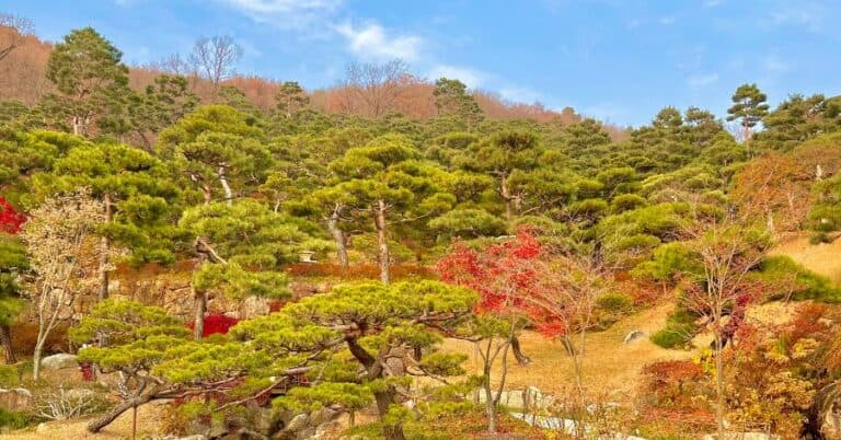 Hwadam Forest 화담숲