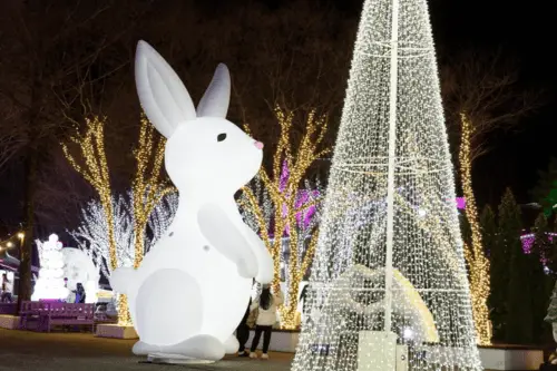 Cheongdo Provence Lighting Festival