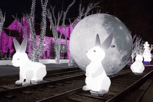 Cheongdo Provence Lighting Festival