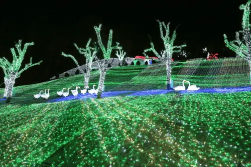 Cheongdo Provence Lighting