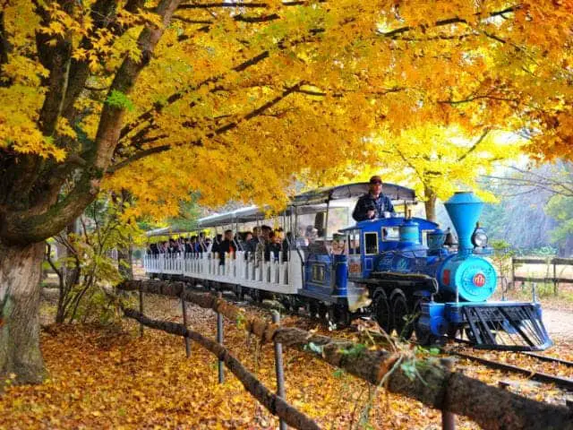Train de charité sur l'île de Nami