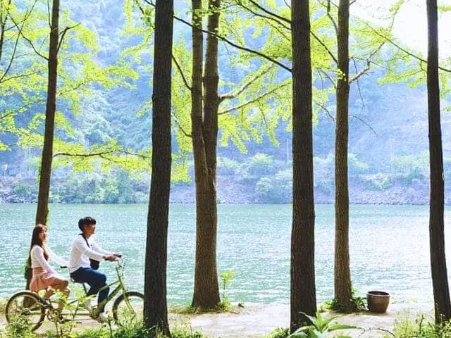 couple bike riding in nami island, family bike riding in nami island
