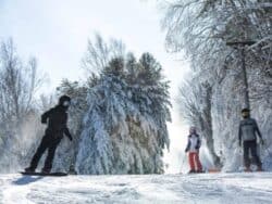 Jisan Forest Winter Ski