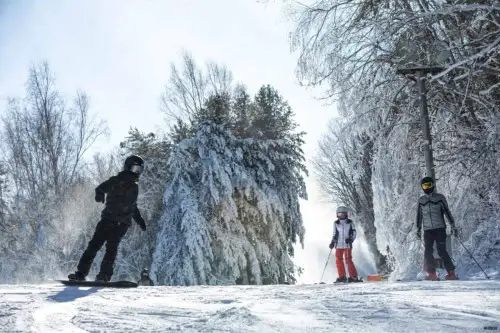 Ski d'hiver dans la forêt de Jisan